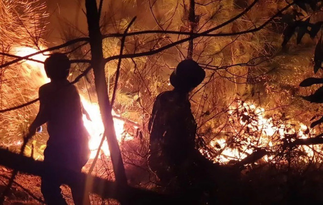 Hàng nghìn người trắng đêm dập lửa cứu rừng Nghệ An, Hà Tĩnh - 2