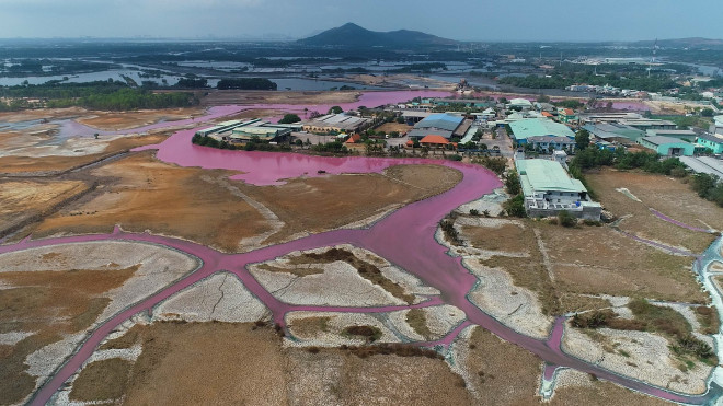 CLIP: Kinh hoàng hồ nước rộng lớn chuyển thành màu tím - 2