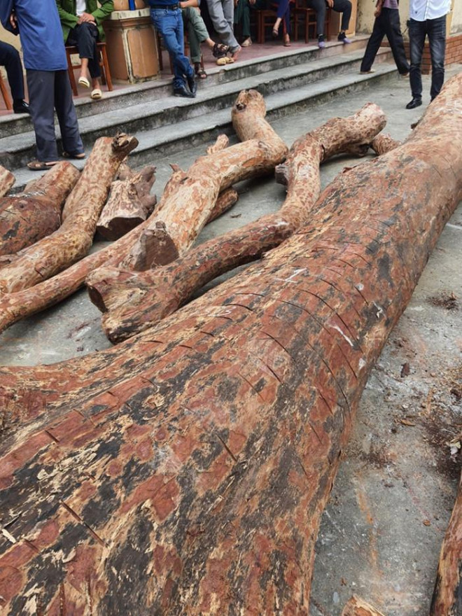 Tin tức 24h qua: Hồ nước chuyển sang màu tím lịm, bốc mùi hôi thối - 3