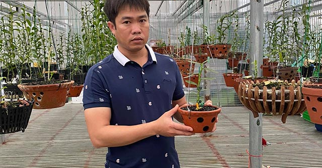 Nghệ nhân Bùi Văn Dũng và vườn lan đột biến đẹp “nức lòng”
