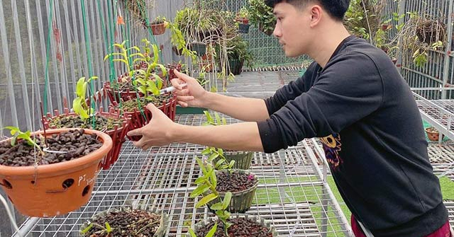 Nghệ nhân Nguyễn Hữu Tuyền: “Nghề trồng lan vốn không dễ dàng như mọi người vẫn nghĩ”