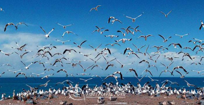 Độc đáo, Hồ Thanh Hải được ví là "tấm gương trên bầu trời" - 5