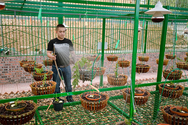 Nghệ nhân Lưu Đình Thảo chia sẻ về cách trồng và chăm sóc hoa lan - 1