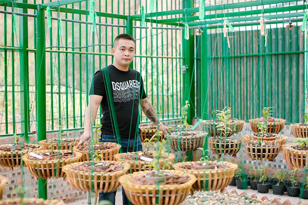 Nghệ nhân Lưu Đình Thảo chia sẻ về cách trồng và chăm sóc hoa lan - 5