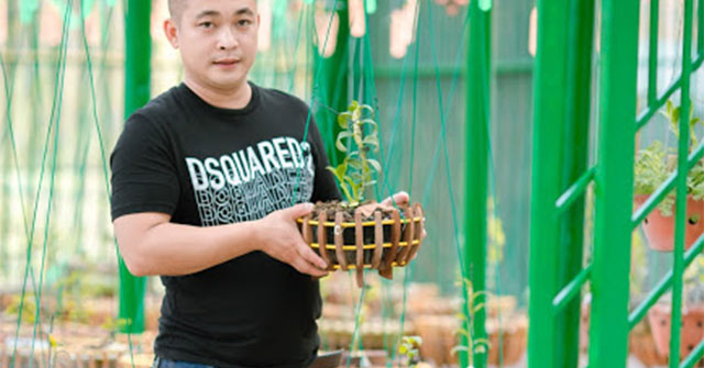 Nghệ nhân Lưu Đình Thảo chia sẻ về cách trồng và chăm sóc hoa lan
