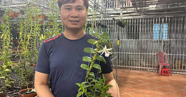 Ông chủ vườn lan 9X Trần Vinh chia sẻ bí quyết trồng lan thành công