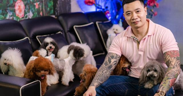 Gặp gỡ chàng trai sở hữu đàn chó Poodle khủng ở Hà Nội
