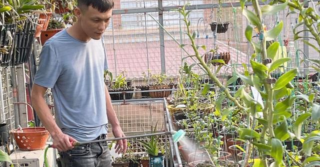 Nghệ nhân Nguyễn Thế Vinh: Chăm hoa lan cần kỹ thuật và cũng cần cả sự đam mê
