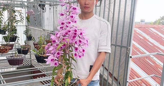 Nghệ nhân Nguyễn Quốc Trường và hành trình tìm đến loài hoa vương giả