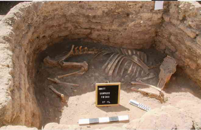 Phát hiện "thành phố vàng" trong truyền thuyết, đầy bảo vật độc nhất vô nhị - 3