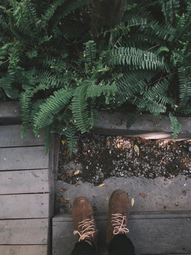 Hẹn hò cà phê có view sống ảo thơ mộng như “Đà Lạt thu nhỏ” - 8