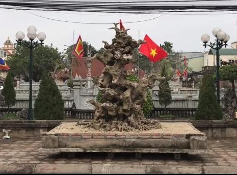 Choáng váng những cây cảnh như khúc củi khô, nhưng vẫn được "hét" giá bạc tỷ - 1