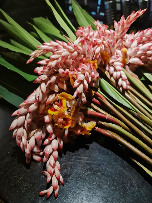 Bất ngờ loại hoa lan hệt như bông lúa được lùng mua, dân buôn bán cả ...