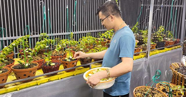 Ông chủ 8x Tùng Dương và hai vườn lan tuyệt đẹp ở Hòa Bình