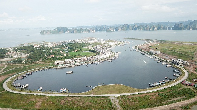 Đề xuất xây sân bay tại Cà Mau: “Chúa đảo Tuần Châu” giàu cỡ nào? - 2