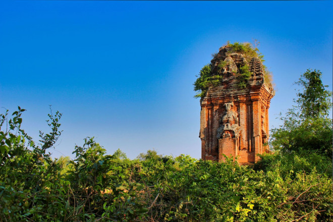 Mê hoặc tháp Chăm Bình Định - 5