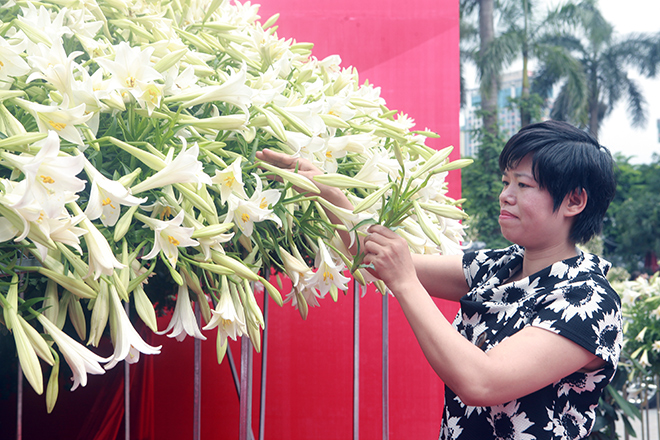 Xuất hiện nón lá “khổng lồ” bằng hoa loa kèn trên phố Hà Nội - 5