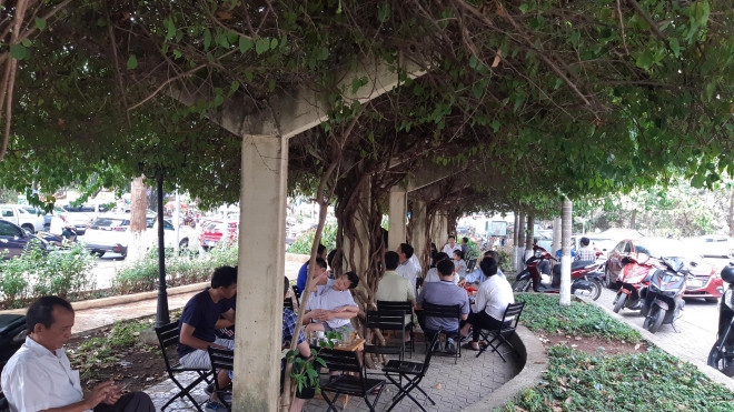 Clip: Xót xa giàn hoa giấy tuyệt đẹp trong hoa viên bị cưa hạ - 6