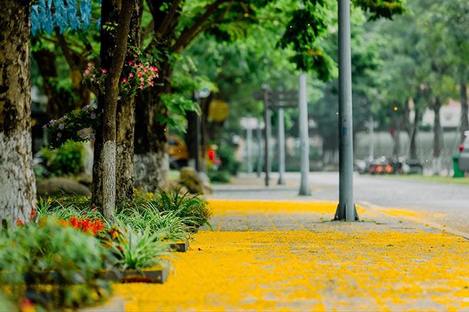 Ecopark Marathon 2021 - Ngắm cung đường chạy giữa thiên nhiên “siêu chất” trước giờ G - 9