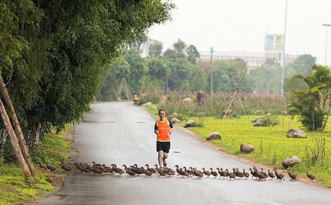 Ecopark Marathon 2021 - Ngắm cung đường chạy giữa thiên nhiên “siêu chất” trước giờ G - 4