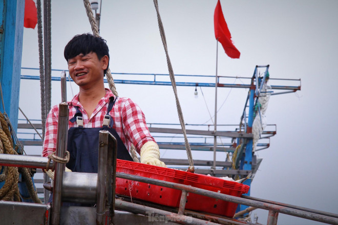 Ngư dân Nghệ An thu hàng trăm triệu mỗi chuyến từ mực luộc tươi trên tàu - 9