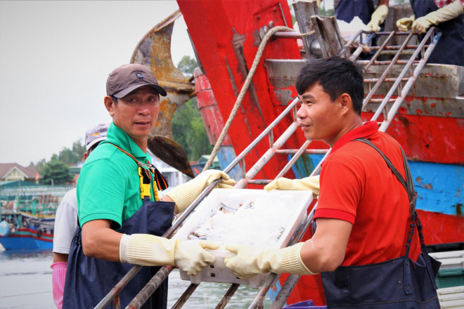 Ngư dân Nghệ An thu hàng trăm triệu mỗi chuyến từ mực luộc tươi trên tàu - 14