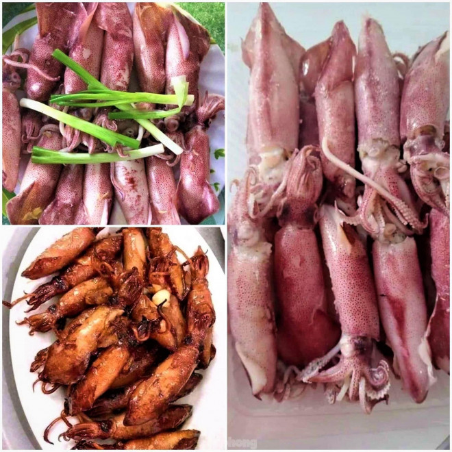 Ngư dân Nghệ An thu hàng trăm triệu mỗi chuyến từ mực luộc tươi trên tàu - 12