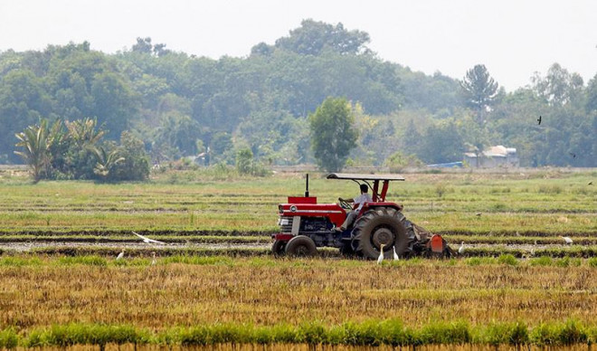 Năm huyện của TP.HCM sẽ 'lên đời' - 3