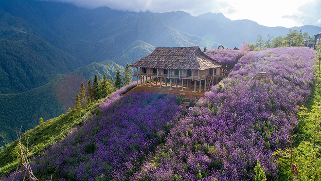 Sun World Fansipan Legend - Hành trình 5 năm công trình của những kỷ lục - 5