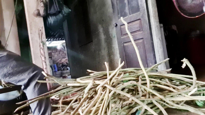 VIDEO ĐIỀU TRA: Sự thật về các "thần y"... "nhà tôi ba đời chữa bệnh" - 2