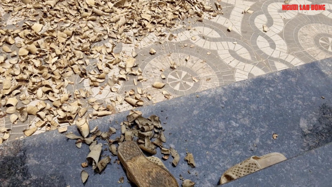 VIDEO ĐIỀU TRA: Sự thật về các "thần y"... "nhà tôi ba đời chữa bệnh" - 3