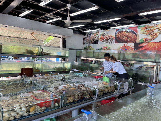 Vụ ốc hương 1,8 triệu đồng/kg: Chủ nhà hàng bị tố chặt chém nói gì? - 6