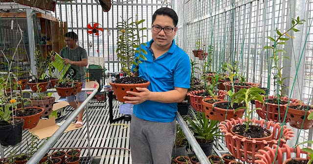 Ông chủ vườn lan Trần Chiến và cơ duyên rẽ lối sang hoa lan
