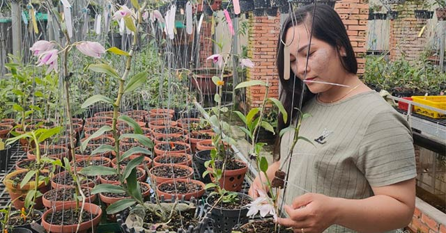 Nghệ nhân Nguyễn Ngọc Phương Anh chia sẻ cách chăm sóc lan giống phát triển khỏe mạnh tại vườn