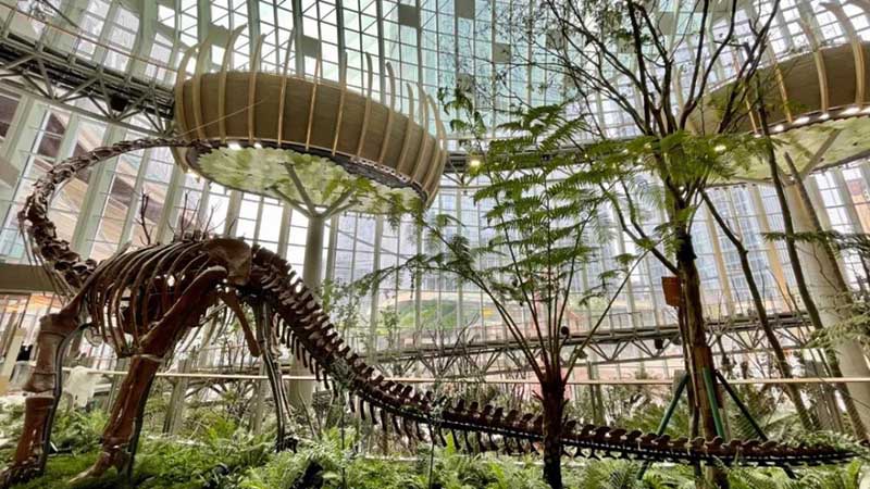 Công viên hiện đại bậc nhất TQ, những cảnh trong phim viễn tưởng đều có tại đây - 14