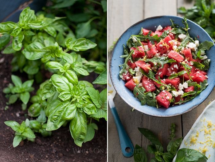 Dưa hấu đâu chỉ có 1 cách ăn, biến tấu thành món salad 
