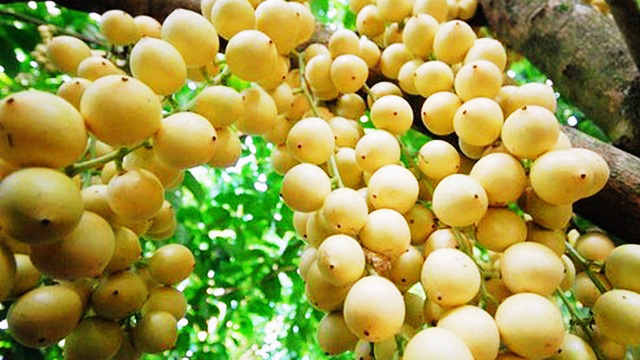 Những điểm đến lý tưởng ở Cần Thơ dịp lễ 30-4 và 1-5 - 20