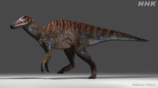 Hóa thạch khủng long phát hiện ở Nhật, được đặt theo tên của một vị thần - 3