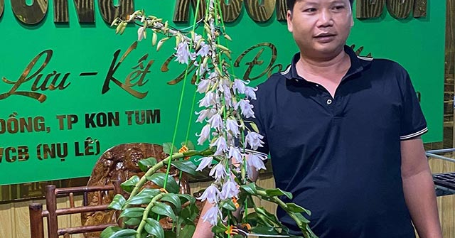 Hành trình vượt khó để thành công của ông chủ vườn lan Hữu Xướng