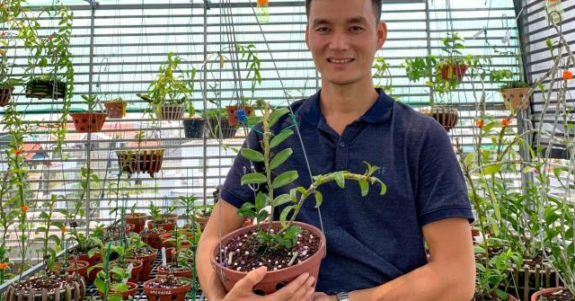 Nghệ nhân trồng lan Võ Chí Hiếu: “Không thất bại sẽ không thể thành công”