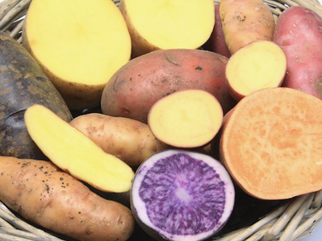 10 mẹo chọn và bảo quản khoai tây ai cũng nên biết - 1