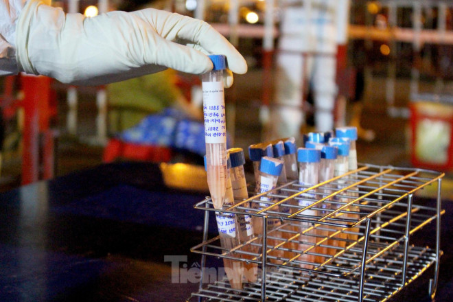 Trắng đêm lấy mẫu xét nghiệm COVID-19 ở cảng cá lớn nhất miền Trung - 10