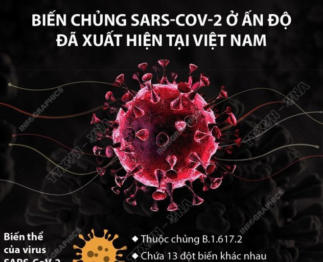 Phát hiện 2 biến chủng SARS-CoV-2 mới tại Việt Nam - 1