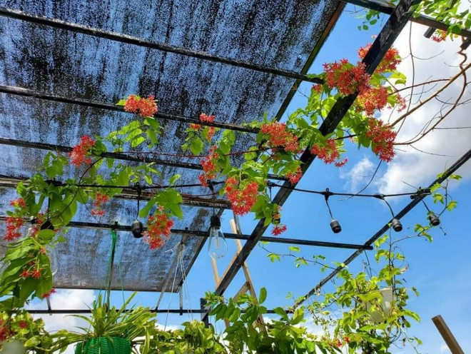 Trà Vinh: Hẹn hò tại tiệm cà phê được décor theo phong cách cổ xưa cực ấn tượng - 11