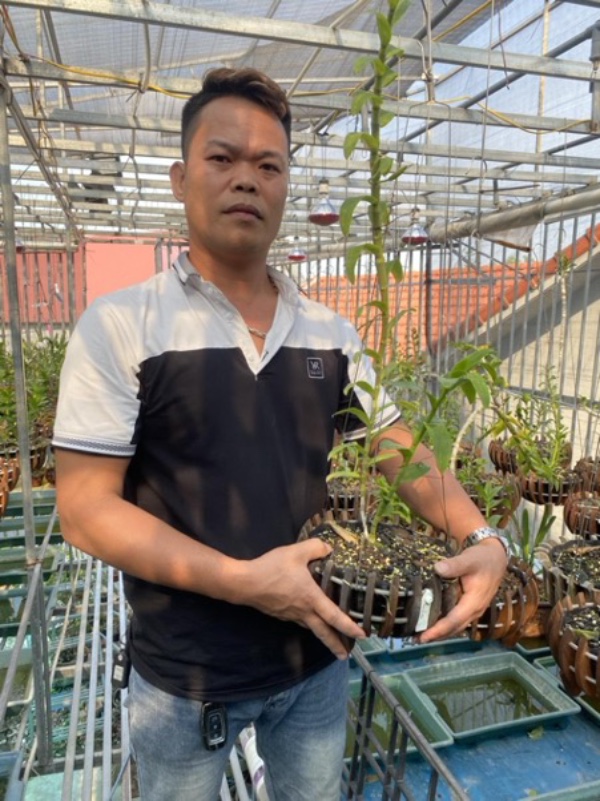 Nghệ nhân Phạm Anh Dũng chia sẻ những bí quyết chọn giống hoa lan phát triển tốt - 1