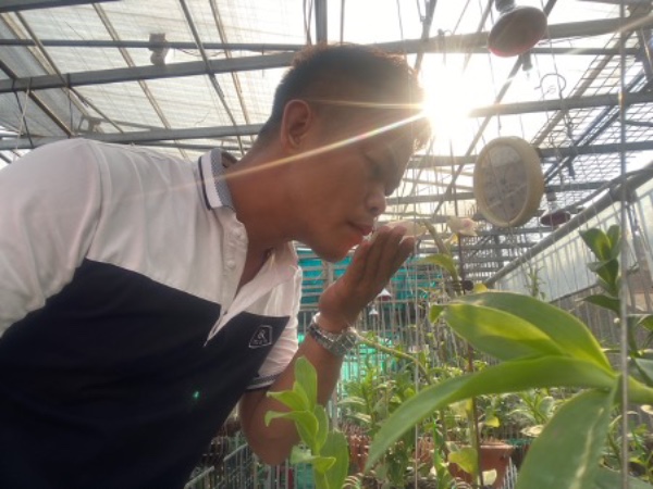 Nghệ nhân Phạm Anh Dũng chia sẻ những bí quyết chọn giống hoa lan phát triển tốt - 5