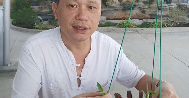 Nghệ nhân Nguyễn Duy Toàn và hành trình theo đuổi niềm đam mê với nghề trồng lan