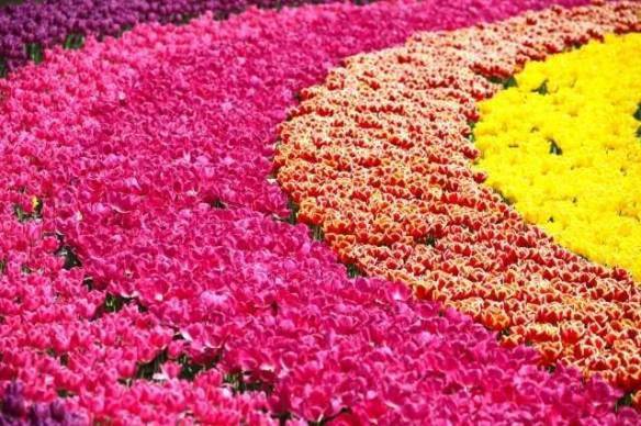 Nếu có cơ hội đến Nhật Bản, đây nhất định là 9 cảnh quan đẹp mê hồn bạn nên ghé thăm - 5