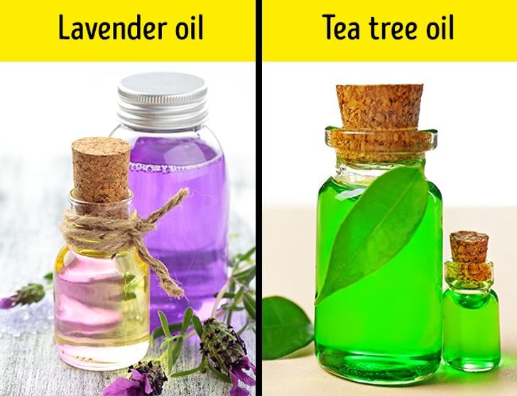 10 cách từ thiên nhiên giúp lông mày dày đẹp hút ánh nhìn - 7