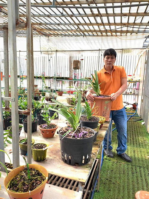 Nghệ nhân Thành Chuyên và hành trình bén duyên với hoa lan - 2